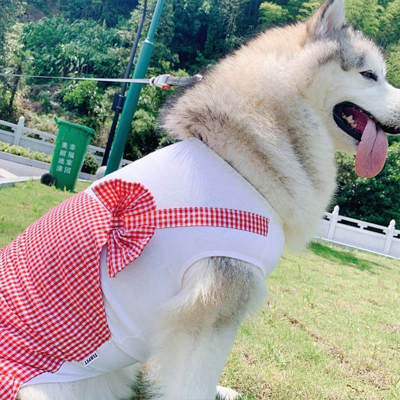 Princess Dog Costume - Stylish Dog Clothes for Labrador, Golden Retriever, and Large Breeds - Dream Pet Supply Store