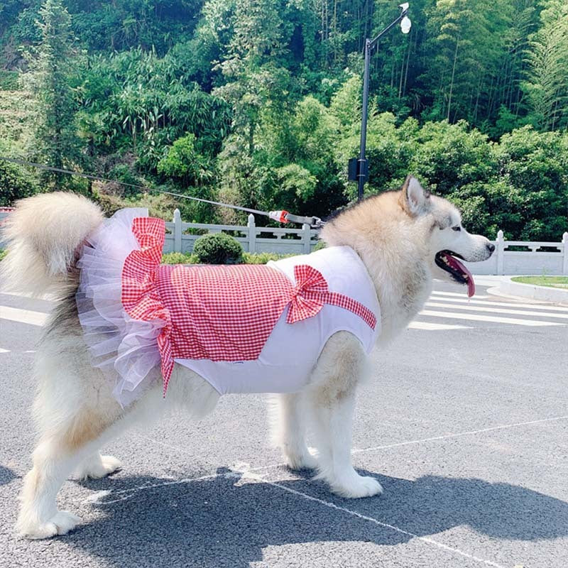 Princess Dog Costume - Stylish Dog Clothes for Labrador, Golden Retriever, and Large Breeds - Dream Pet Supply Store