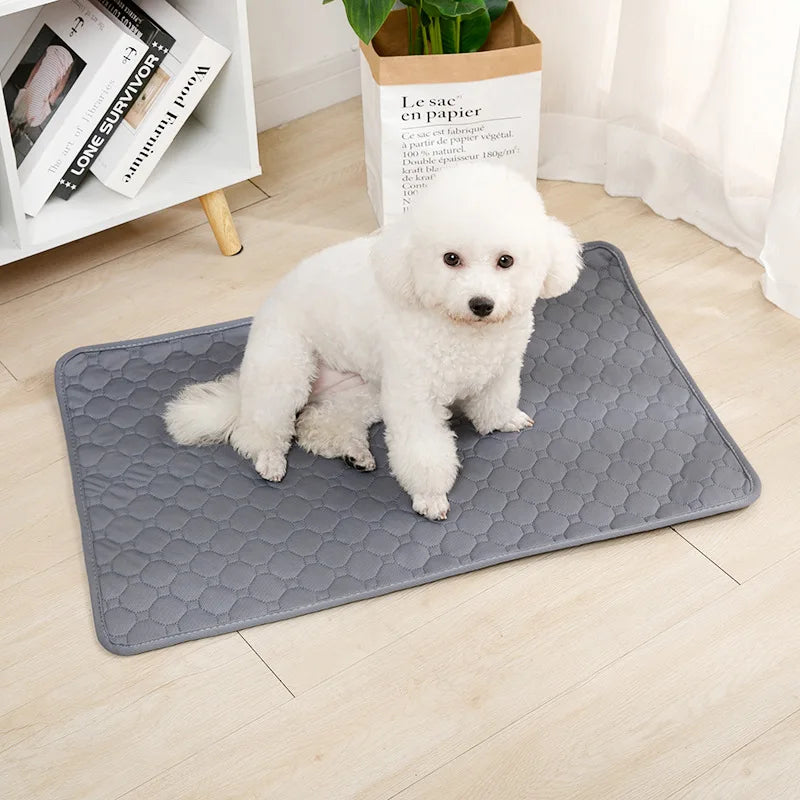 Reusable Dog Pee Pad Blanket - Absorbent, Washable Puppy Training Pad, Pet Bed Urine Mat, Car Seat Cover, Pet Supplies - Dream Pet Supply Store