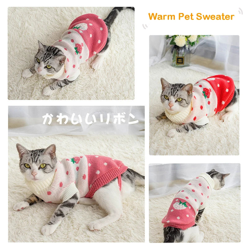 Puppy Cat Sweater Winter Warm Dog Clothes For Small Medium Dogs Chihuahua Dachshund Coat French Bulldog Yorkie Poodle Pet Outfit - Dream Pet Supply Store