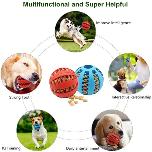 Title: Dog Ball Toys for Small Dogs - Interactive, Elasticity, Puppy Chew Toy, Tooth Cleaning Rubber Food Ball Toy, Pet Stuff Accessories - Dream Pet Supply Store