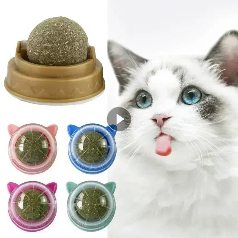 Natural Catnip Ball Toy - Cat Grass Treats for Digestion, Wall Sticker Scratch, Itchy Relief, Healthy Supplies for Cats - Dream Pet Supply Store